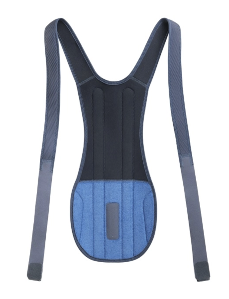 Модуль грудо-поясничный Orlett, BS-222 (1) Dorsal